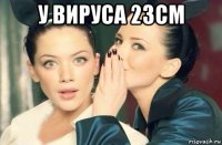 у вируса 23см 