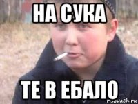 на сука те в ебало