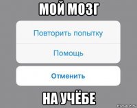 мой мозг на учёбе