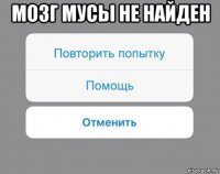 мозг мусы не найден 