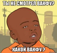 ты не смотрел вакфу? какой вакфу ?