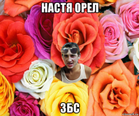 настя орел збс