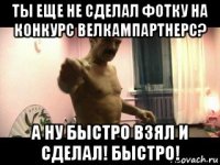 ты еще не сделал фотку на конкурс велкампартнерс? а ну быстро взял и сделал! быстро!