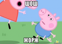 шош жорж