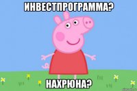 инвестпрограмма? нахрюна?