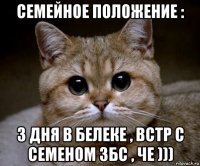 семейное положение : 3 дня в белеке , встр с семеном збс , че )))