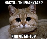 настя....ты ебанутая? или чё бл*ть?