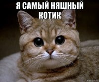 я самый няшный котик 