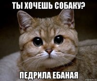 ты хочешь собаку? педрила ебаная