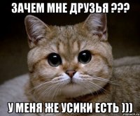 зачем мне друзья ??? у меня же усики есть )))