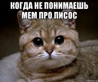 когда не понимаешь мем про писос 