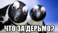  что за дерьмо?