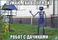 думаю, так выглядит робот с дачиками