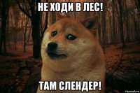 не ходи в лес! там слендер!