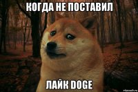 когда не поставил лайк doge