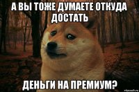 а вы тоже думаете откуда достать деньги на премиум?