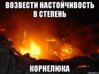 возвести настойчивость в степень корнелюка