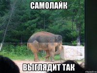 самолайк выглядит так