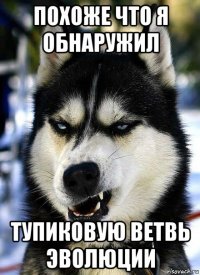 похоже что я обнаружил тупиковую ветвь эволюции