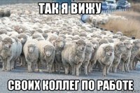 так я вижу своих коллег по работе