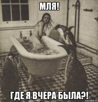 мля! где я вчера была?!