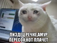  пиздец речке,амур пересох,кот плачет