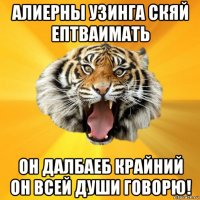 алиерны узинга скяй ептваимать он далбаеб крайний он всей души говорю!