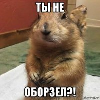 ты не оборзел?!