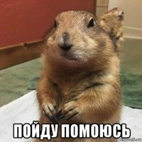  пойду помоюсь