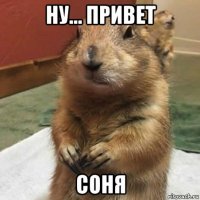 ну... привет соня