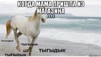 когда мама пришла из магазина 