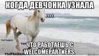 когда девчонка узнала что работаешь с welcomepartners.