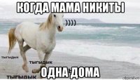 когда мама никиты одна дома