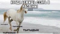 когда бежишь ссать в растение 