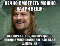 вечно смотреть можно на три вещи: как горит огонь, как вращается блюдо в микроволновке, как жарят шашлыки !