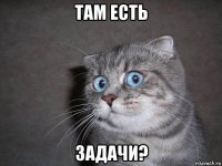 там есть задачи?