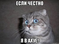 если честно я в ахуе!