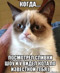 когда.... посмотрел сливки шоу и у видел кота по известной тебя:(