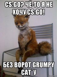 cs:go? чё-то я не хочу cs:go! без ворот grumpy cat`у