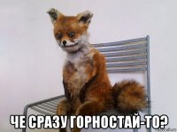  че сразу горностай-то?