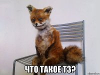  что такое тз?