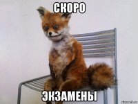 скоро экзамены