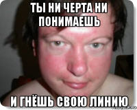 ты ни черта ни понимаешь и гнёшь свою линию