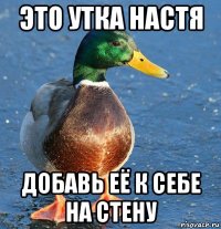 это утка настя добавь её к себе на стену