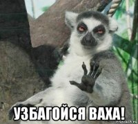  узбагойся ваха!