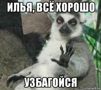илья, всё хорошо узбагойся