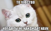 то чувство когда ты не кандидат наук