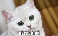  ну работай