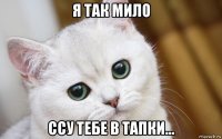 я так мило ссу тебе в тапки...