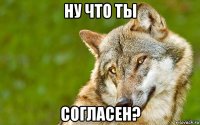 ну что ты согласен?